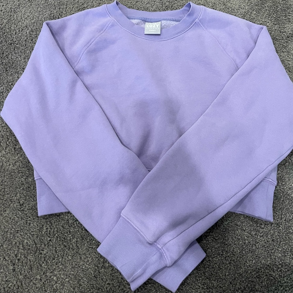 Aritzia Tna COZY FLEECE PERFECT RAGLAN SWEATSHIRT